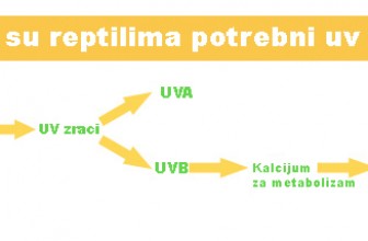 Uvb zraci