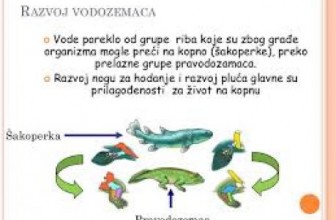 Vodozemci